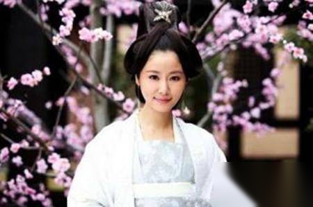 梅妃历史图片