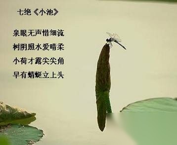 杨万里历史图片