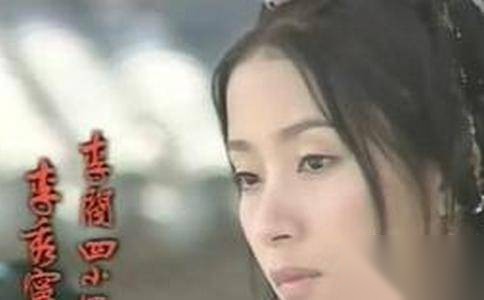 平阳昭公主历史图片