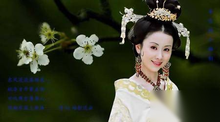 杨妃历史图片