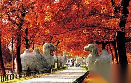 朱元璋历史图片