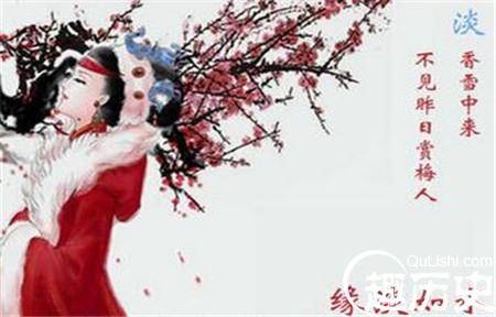 梅妃历史图片