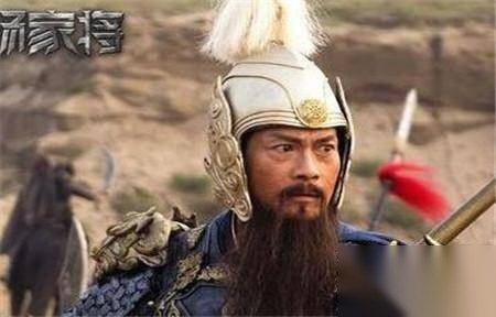 杨业留有几个儿子历史图片