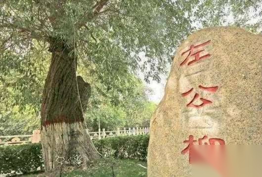 左宗棠历史图片