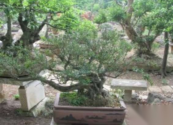 宋朝历史图片