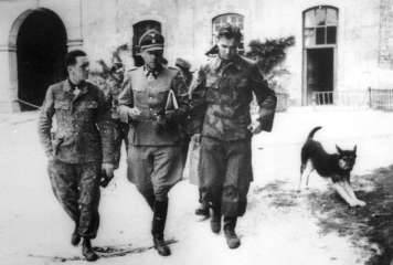 库尔特·迈尔历史图片