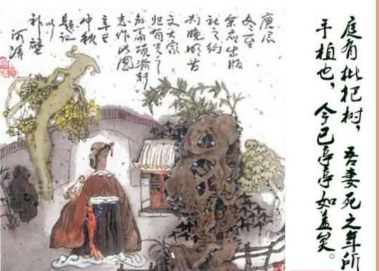归有光历史图片