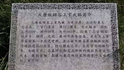 上官婉儿历史图片