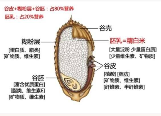 德川家茂历史图片