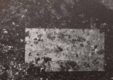 德川家齐历史图片