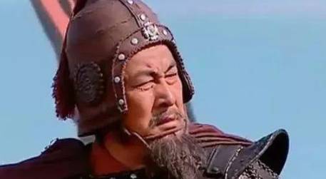 西汉名将!父亲羞愤自杀历史图片