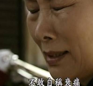 李鸿章历史图片