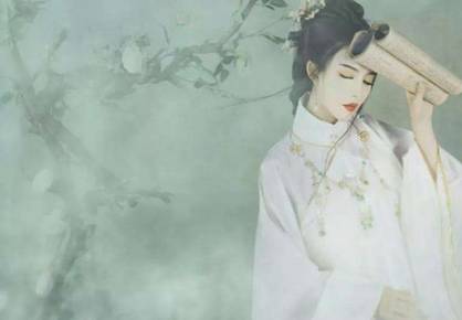 花蕊夫人历史图片