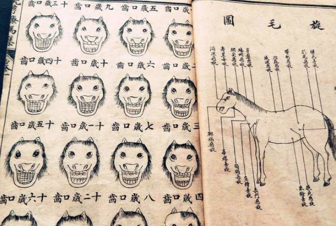 喻仁历史图片