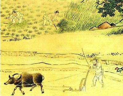 王莽历史图片