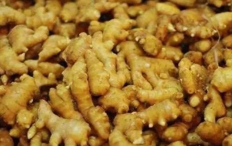 刘墉历史图片