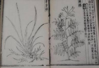 朱橚历史图片