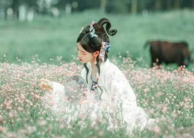 杨芷历史图片