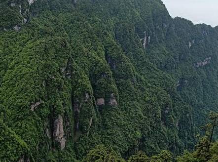 唐朝历史图片