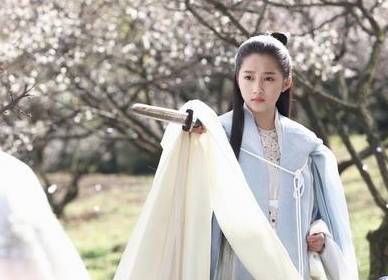 山阴公主历史图片