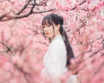 息夫人历史图片