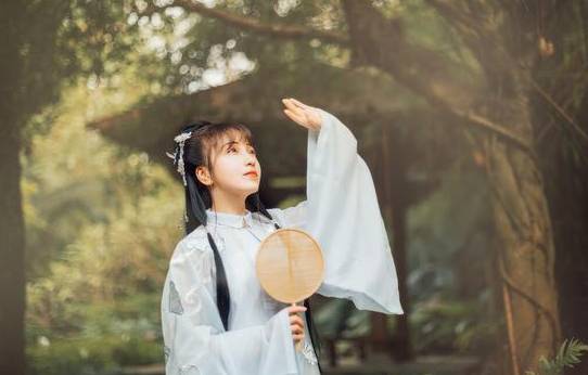 杨坚历史图片