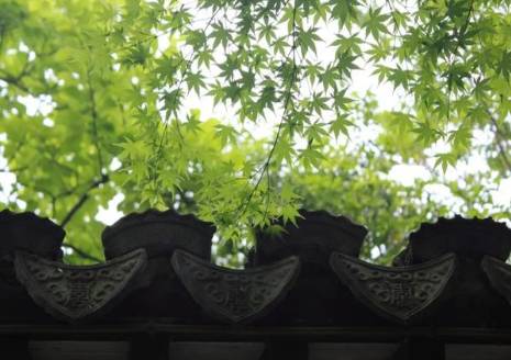 仲殊历史图片