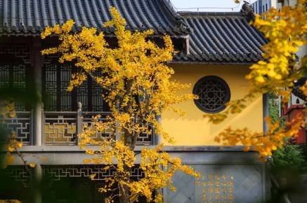 顾贞观历史图片