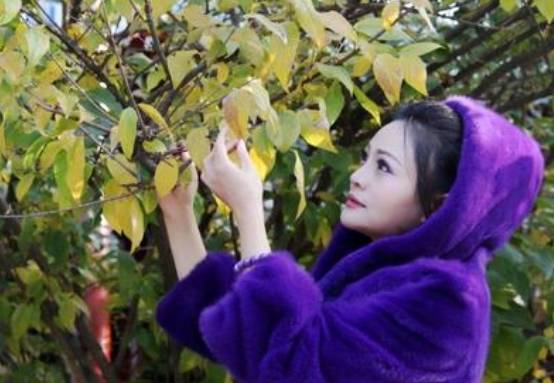 王宁嫔历史图片