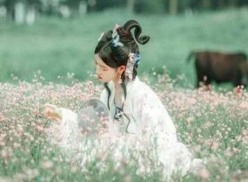 杨芷历史图片