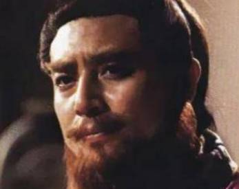 陆逊历史图片