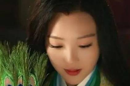 魏美人历史图片