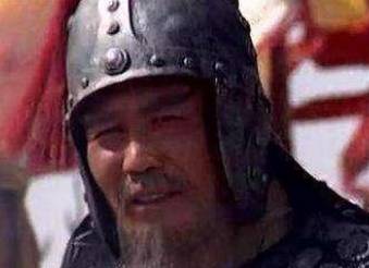 诸葛瞻历史图片