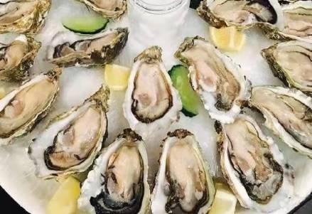 苏轼历史图片