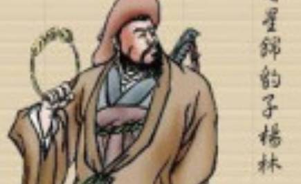 杨林历史图片