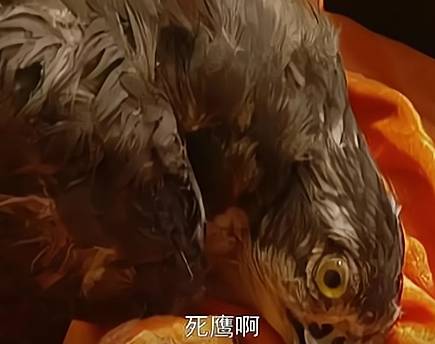 康熙历史图片