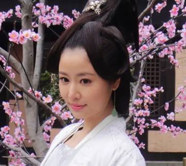 梅妃历史图片