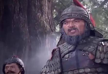 姜维历史图片