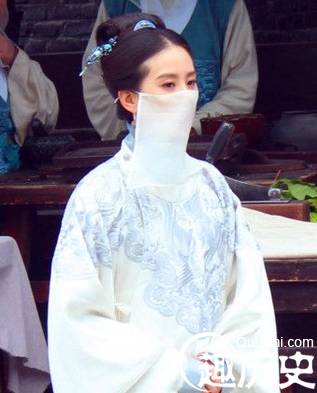 女医明妃传历史图片