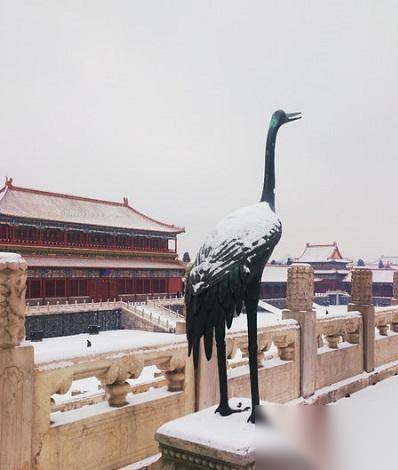 张谦和历史图片