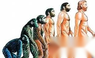 人类起源历史图片