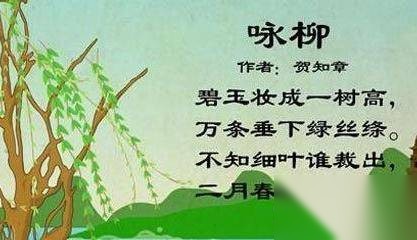 贺知章历史图片