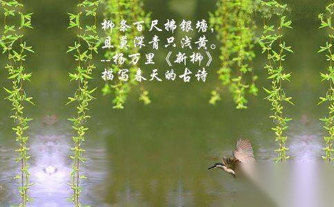 杨万里历史图片