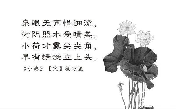 杨万里历史图片