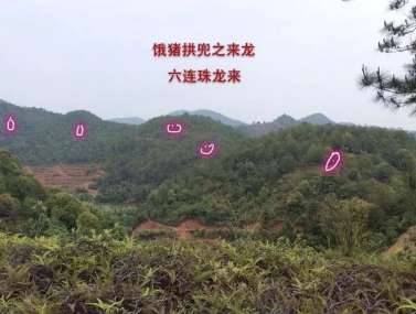 杨筠松历史图片