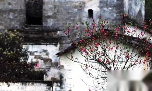 清明诗历史图片