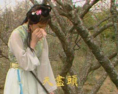 黛玉葬花历史图片