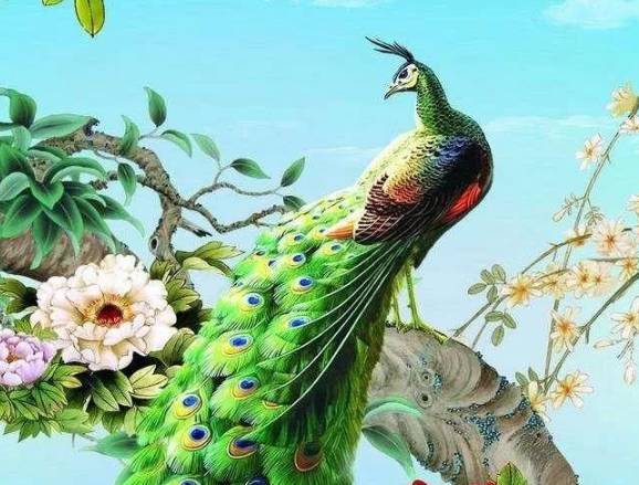 神话中的十二神鸟你知道几个？哪些是凶兽？历史图片