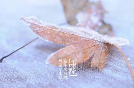 秋季最后一个节气是什么？有哪些写“霜降”的诗？历史图片
