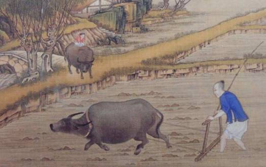 “富贵之人两腿毛历史图片